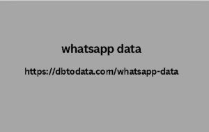 whatsapp data