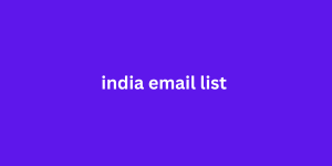 india email list 