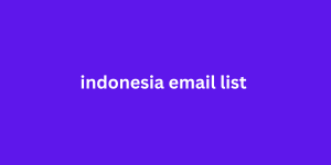 indonesia email list 